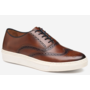 Platform Laced Wing Tip HOLLINS