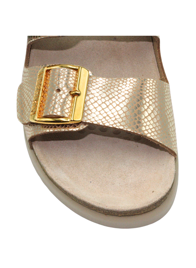 Two Buckle Mule HESTER