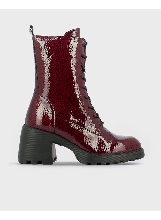 Plateforme Zipped/Laced Bootie G-6704