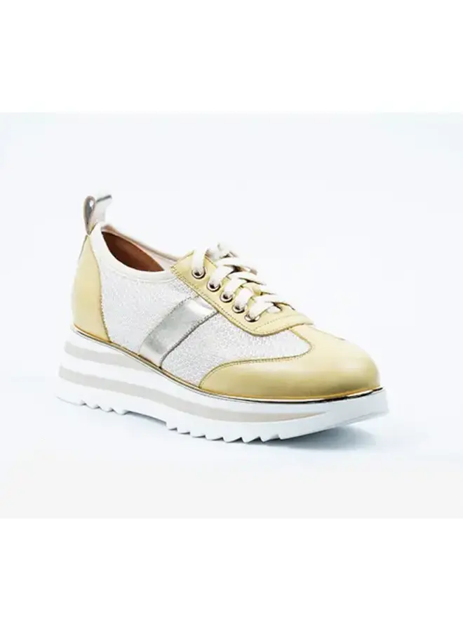 Wedge Laced Multi Sneaker VSA-5