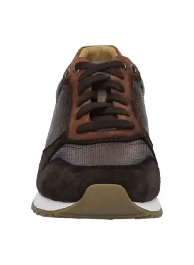 Laced Dress Sneaker AXEL 01