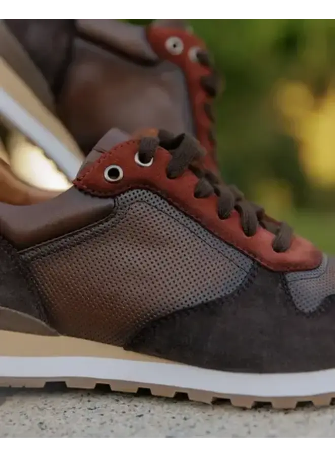 Laced Dress Sneaker AXEL 01