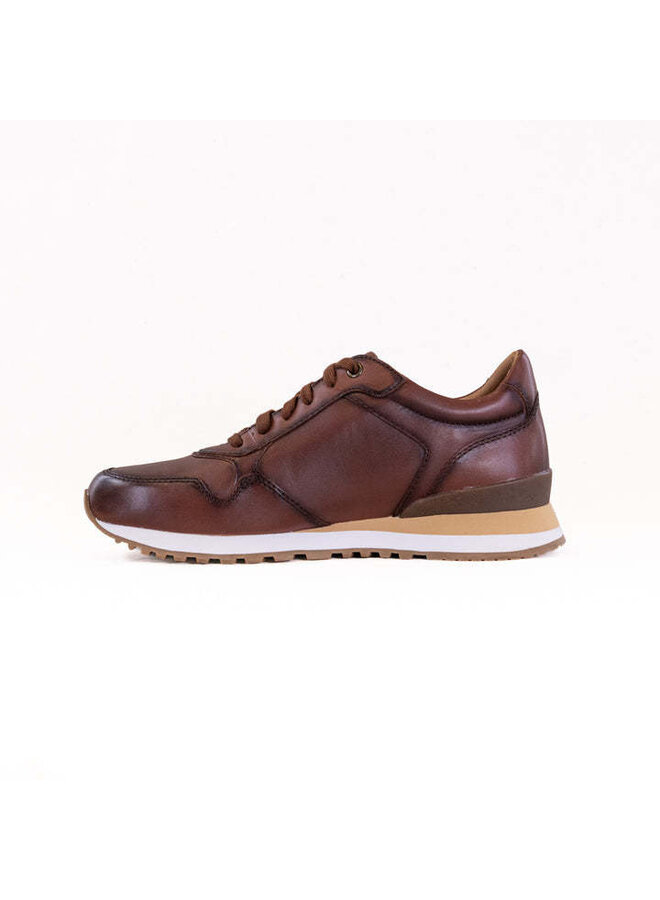 Laced dress sneaker AXEL 02