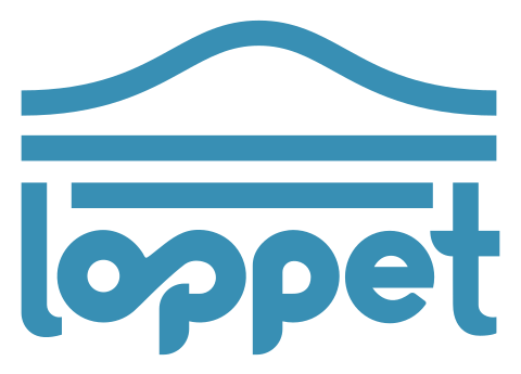 City of Lakes Loppet