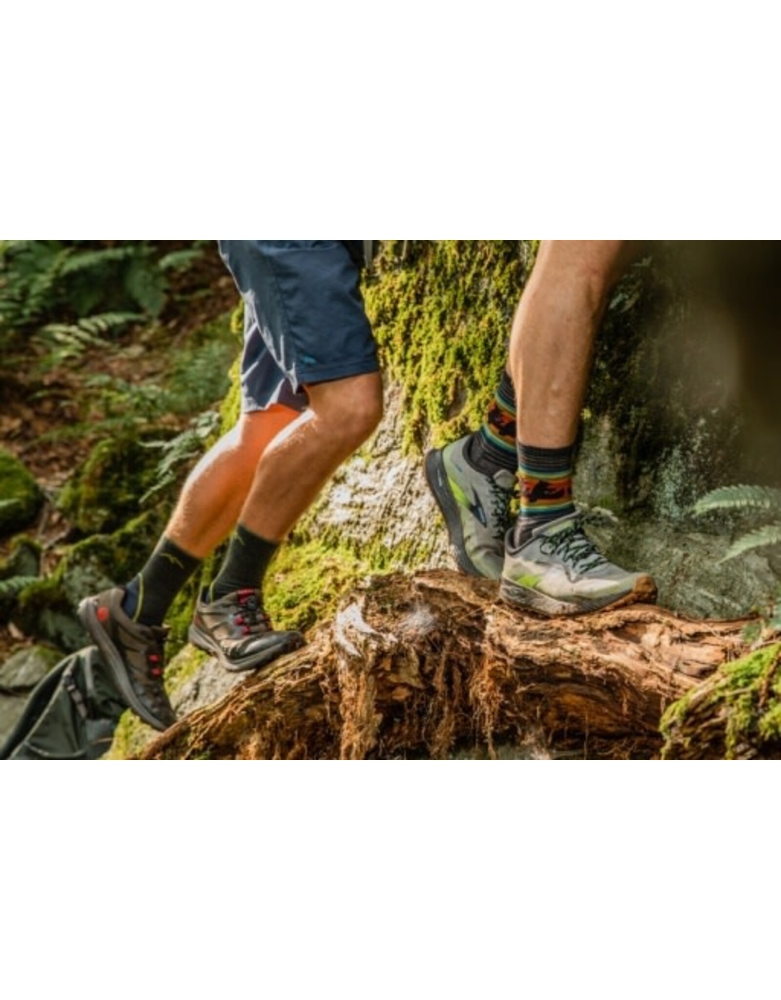 Darn Tough Vermont Darn Tough Willoughby Micro Crew Lightweight Sock w/cushion