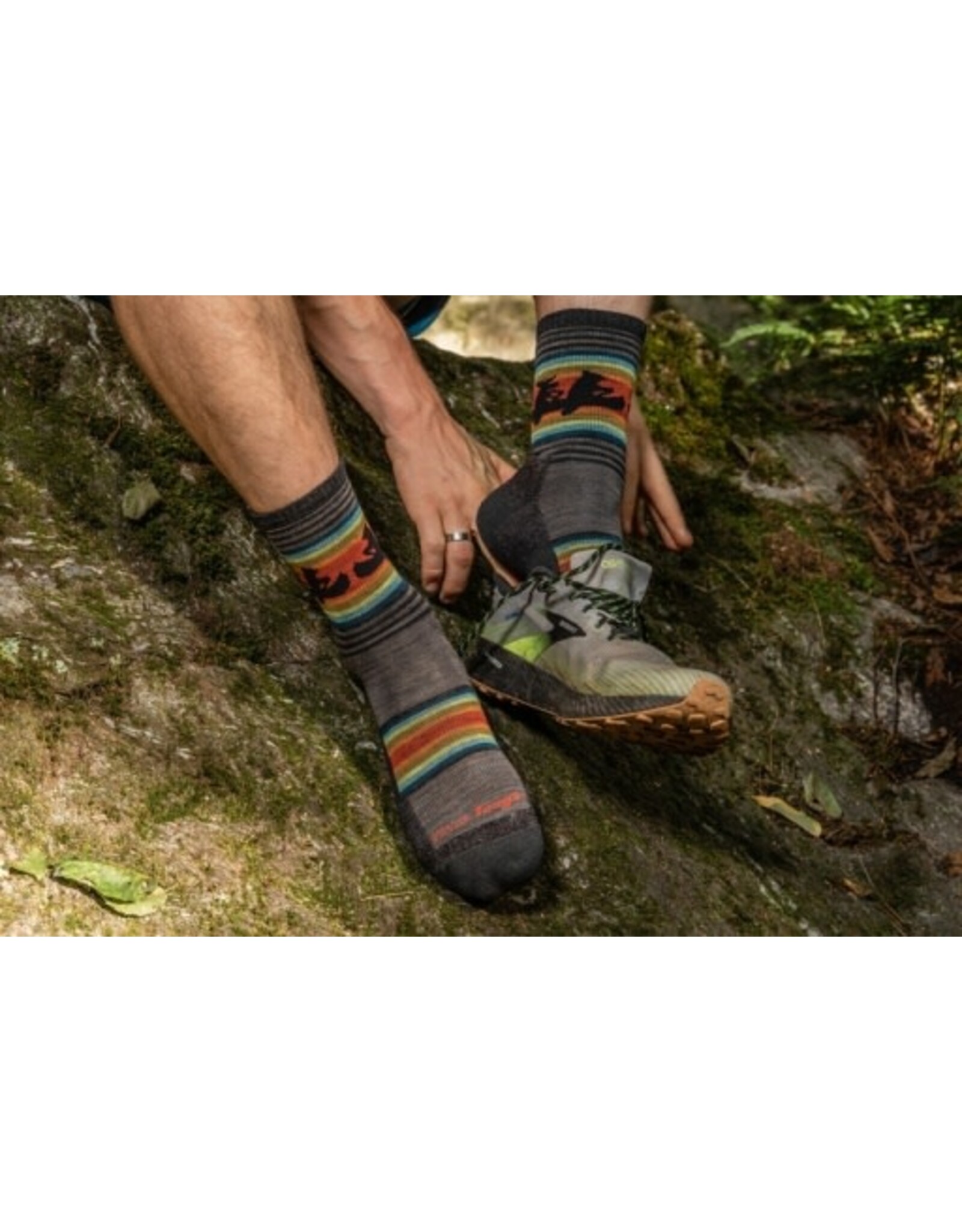 Darn Tough Vermont Darn Tough Willoughby Micro Crew Lightweight Sock w/cushion