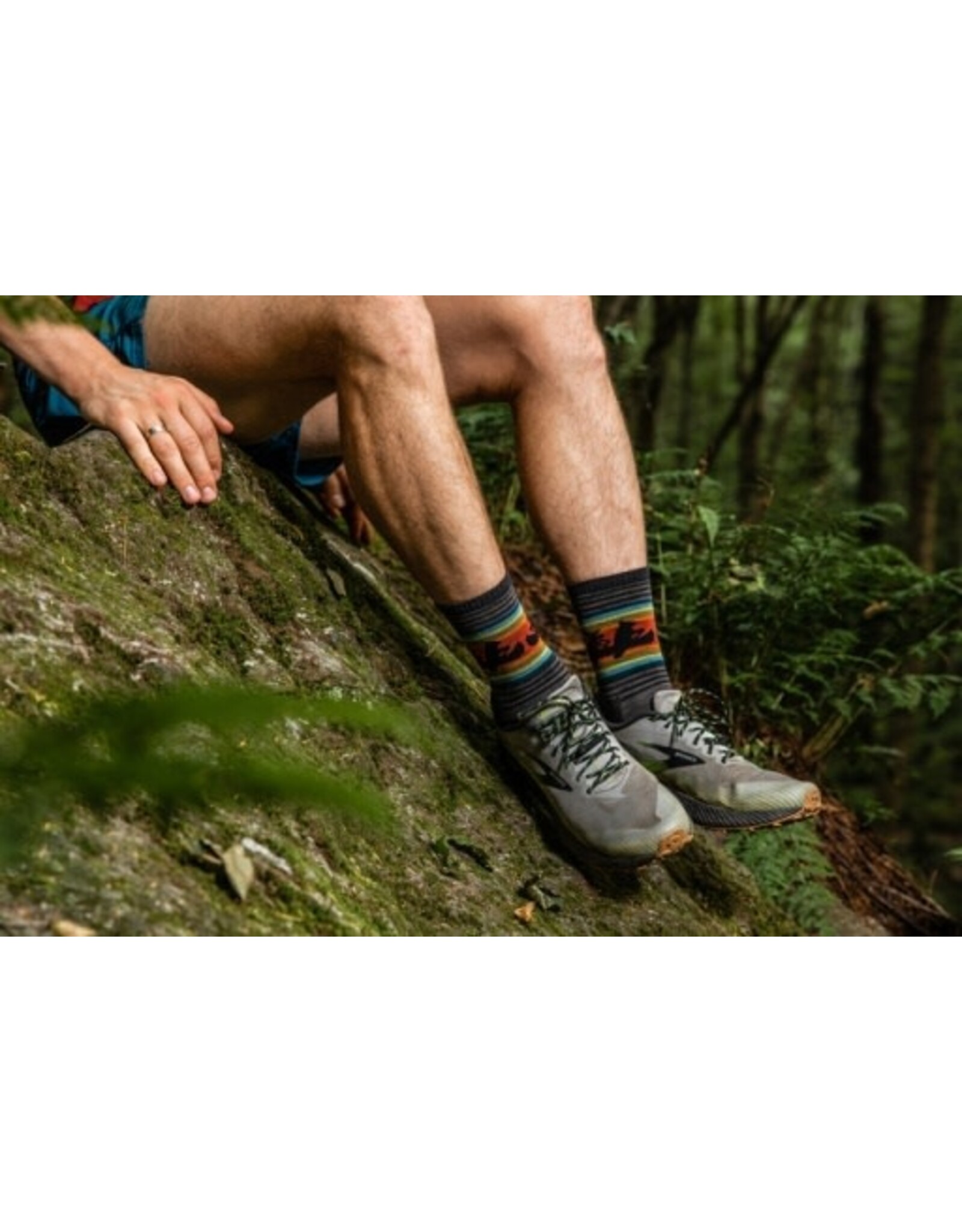 Darn Tough Vermont Darn Tough Willoughby Micro Crew Lightweight Sock w/cushion