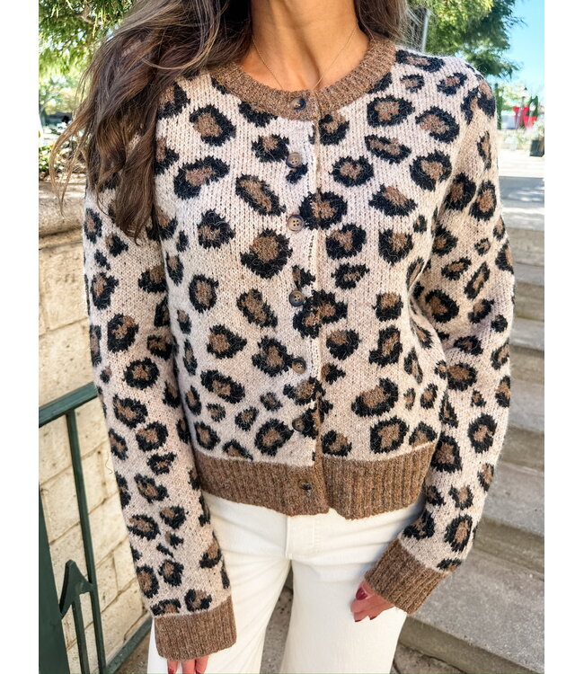 LACY LEOPARD CARDY