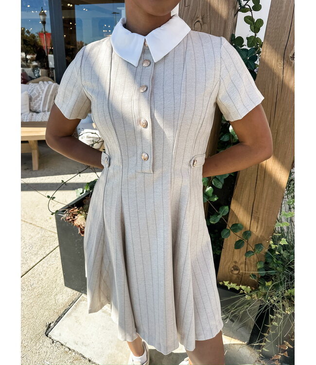 CONTRAST COLLAR DRESS