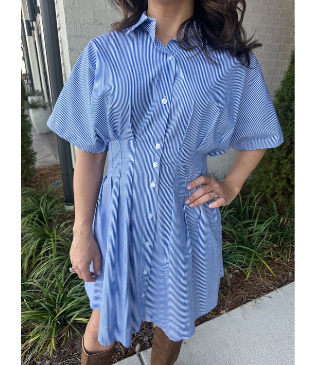 FANNIE STRIPE DRESS