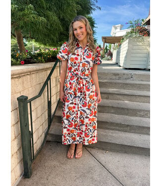 FESTIVAL DREAM DRESS