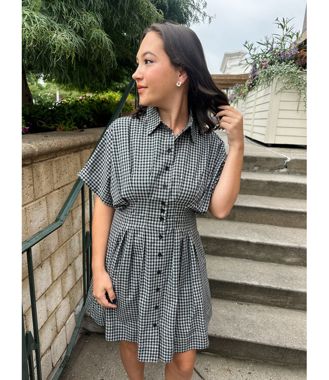 ALANA GINGHAM DRESS