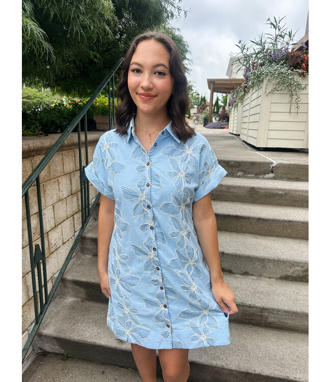 LINY EMBROIDER DRESS