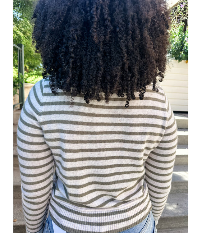 STRIPE CARDY