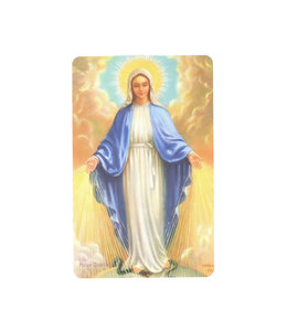 Blessed Virgin prayer card
