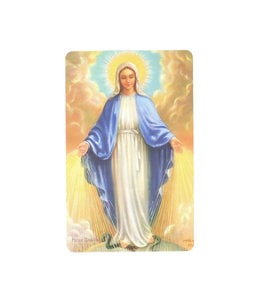 Blessed Virgin prayer card