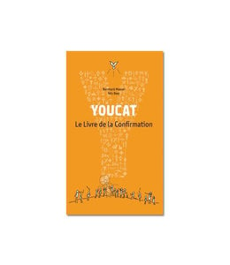 Novalis Youcat Le Livre de la Confirmation (French)