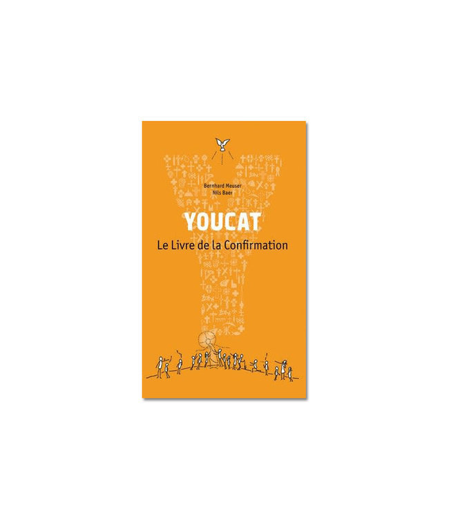 Novalis Youcat Le Livre de la Confirmation (French)