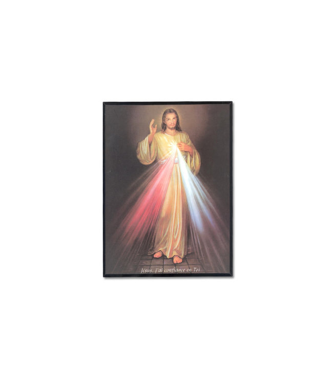 Plaque Divine Mercy (french)