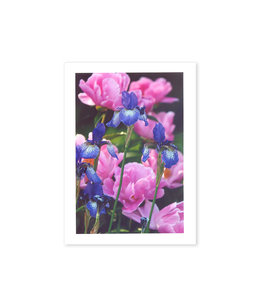 Greeting card with flowers (several models available)