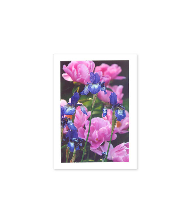 Greeting card with flowers