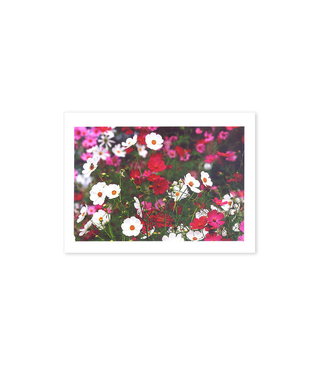Greeting card with flowers