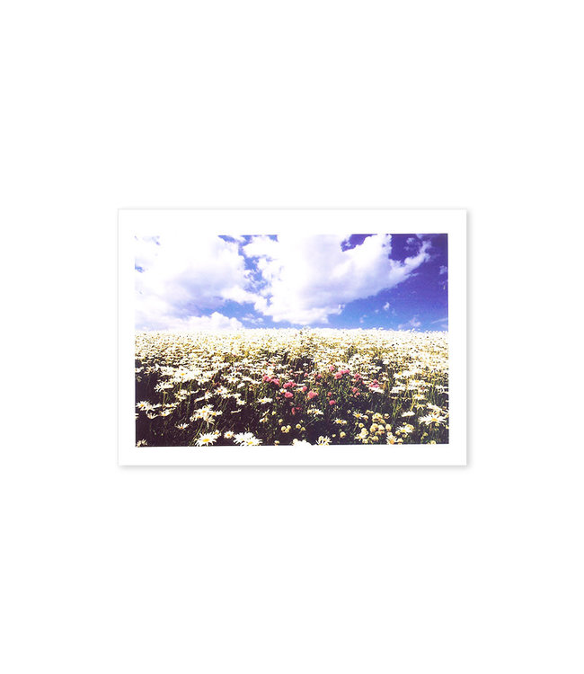 Greeting card with flowers