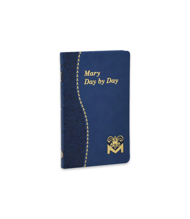 Mary Day by Day vinyle bleu (anglais)