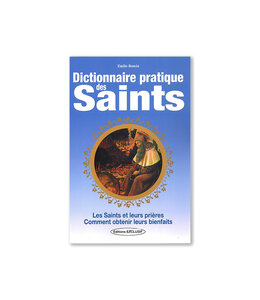 Dictionnaire pratique des Saints (French)