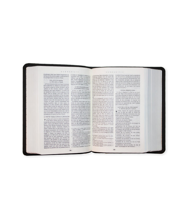 Société Biblique / Bible Society Bible NFC avec deutérocanoniques : similicuir gris