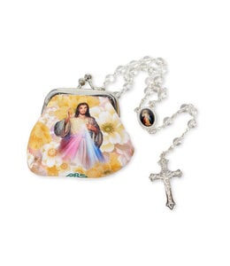 Divine Mercy rosary and case