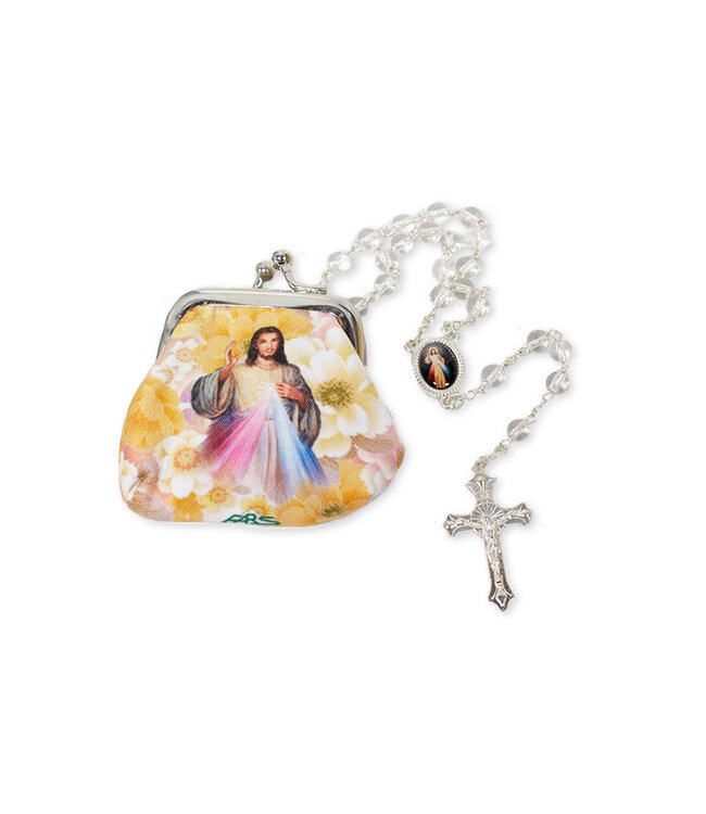 Divine Mercy rosary and case