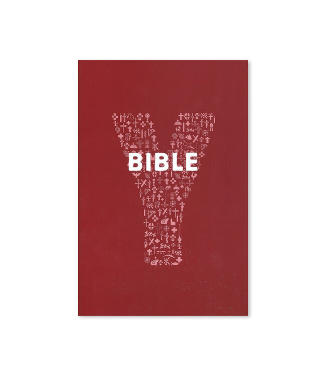 Youcat Bible book
