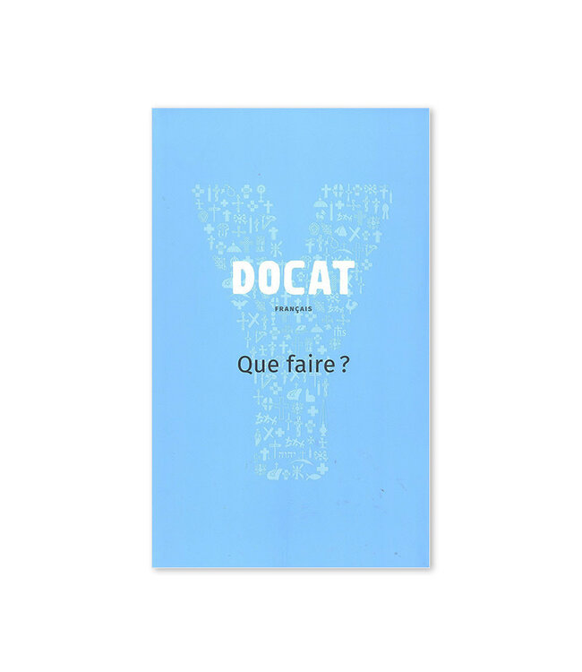Docat (Que Faire?) Youcat La doctrine sociale de l'Église catholique (French)
