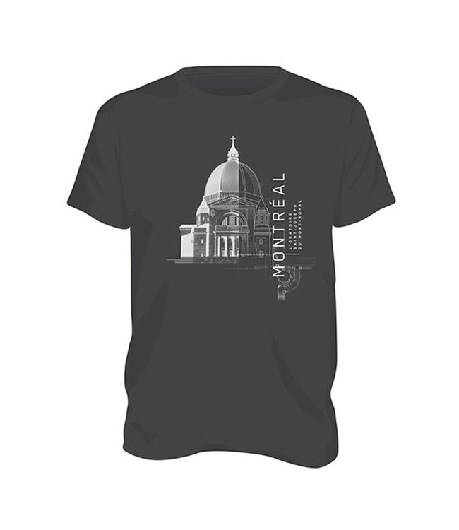 T-shirt gris collection Dôme