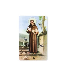 Saint Francis Magnet