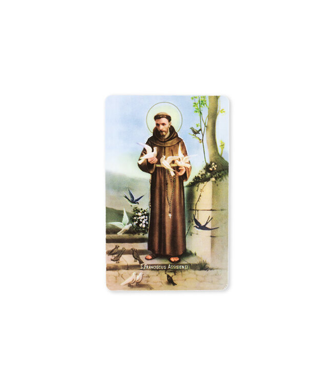 Saint Francis Magnet