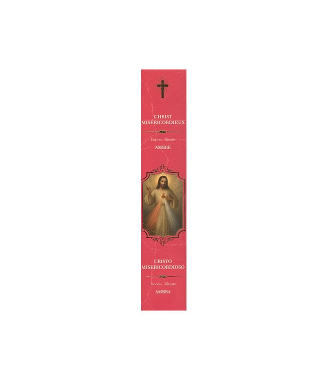 Fragrances & Sens Encens bâtonnets Christ Miséricordieux 12pcs 15g