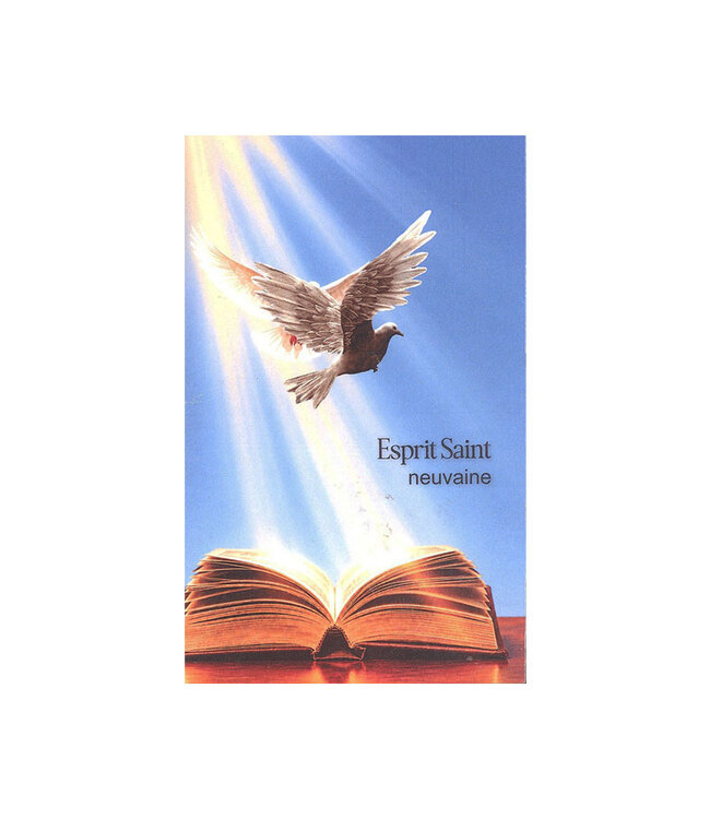Neuvaine à l'Esprit Saint (french)