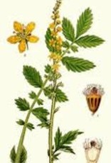 Agrimony | 1/2 oz.