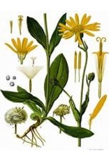 Arnica Flowers - Whole