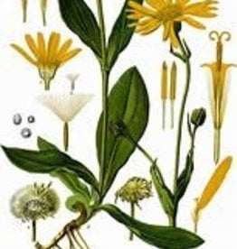Arnica Flowers - Whole