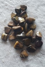 Golden Tiger Eye | Tumbled | Small