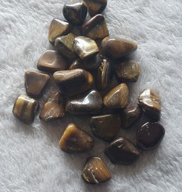Golden Tiger Eye | Tumbled | Small