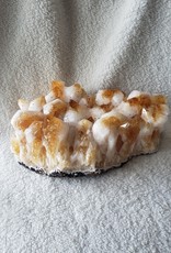 Citrine Cluster | Xtra Large