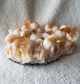 Citrine Cluster | Xtra Large