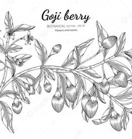 Goji/Lycii Berries | 1/2 oz.