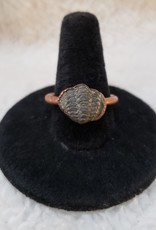 Hawkhouse Trilobite Fossil Ring | Size 7.5