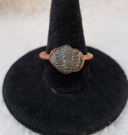 Hawkhouse Trilobite Fossil Ring | Size 7.5