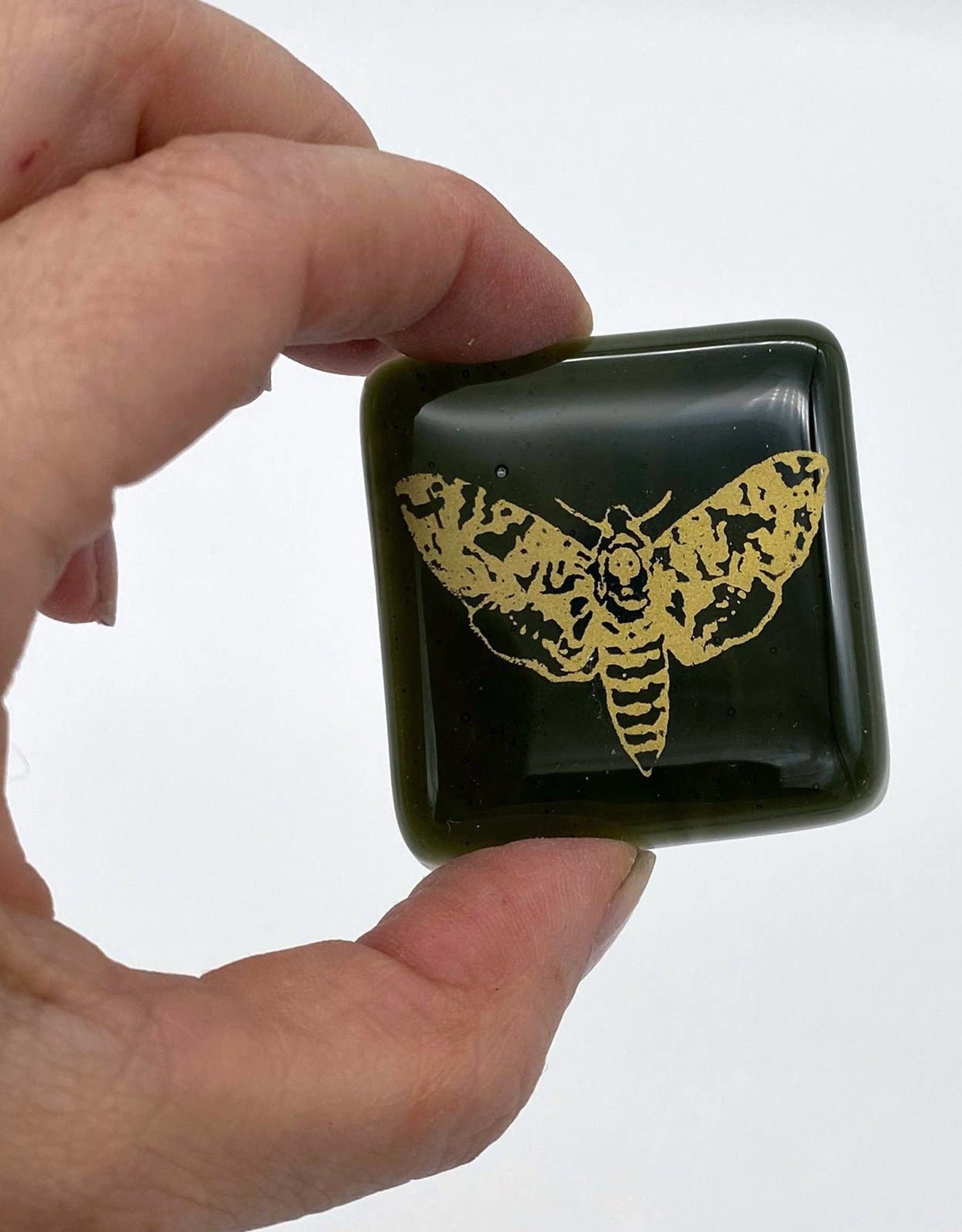 Kiku Handmade Fused Glass Magnet | Death's Head Moth
